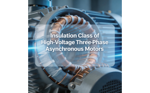 Insulation Class of High-Voltage Three-Phase Asynchronous Motors