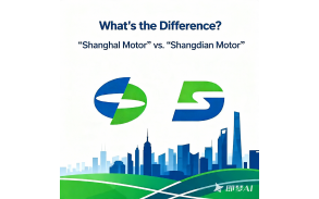 What's the Difference? "Shanghai Motor" vs. "Shangdian Motor"